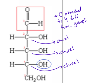 <p>chiral carbon </p>