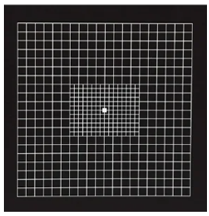 <p>juxta central areas, where the rectangle indicates the limits of fovea</p>