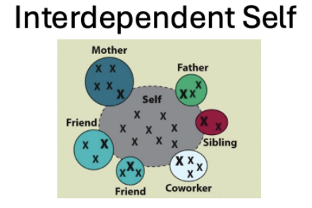 <p><strong>(1) Connected to others </strong>(sister)</p><ul><li><p><span style="background-color: transparent;">Sense of self connected to others more</span></p></li></ul><p></p><p><strong>(2) Defined by social duties &amp; shared traits/preferences </strong>(students)</p><ul><li><p><span style="background-color: transparent;">Define who are by social duties, shared traits/preferences</span></p></li></ul><p></p><p><strong>(3) Qualified by Context </strong>(funny at work)</p><ul><li><p><span style="background-color: transparent;">Self as more qualified by context</span></p></li><li><p><span style="background-color: transparent;">self will change</span></p></li></ul><p></p><ul><li><p>Women more interdependent than men</p><ul><li><p>Differences in different countries</p></li><li><p>The self fundamentally connected to other people </p></li><li><p>Overlap between the circles representing the self &amp; others </p></li><li><p>Imperative to find a place within the community &amp; to fulfill appropriate roles </p></li><li><p>Close attention to social context and recognition of the shifting demands of situations on behaviours </p></li><li><p>More of an outward focus of the self </p></li></ul></li></ul><p></p>