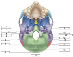 <p>9</p>