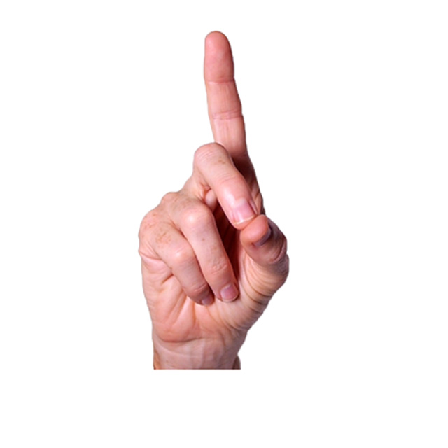 term image
