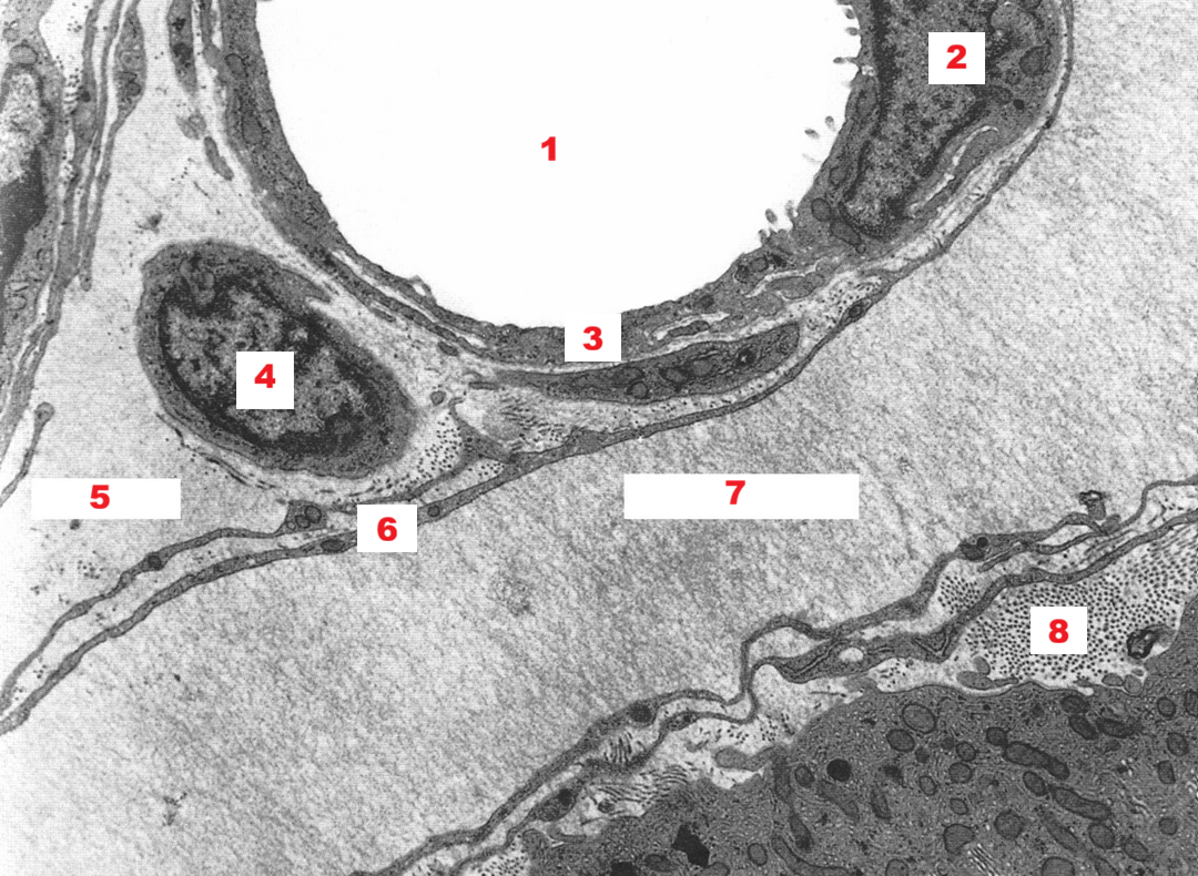 <p>1</p>