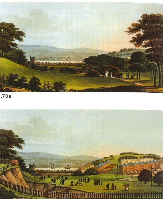 term image