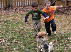 <p>push, elbow, or bump against (someone) roughly, typically in a crowd.</p>