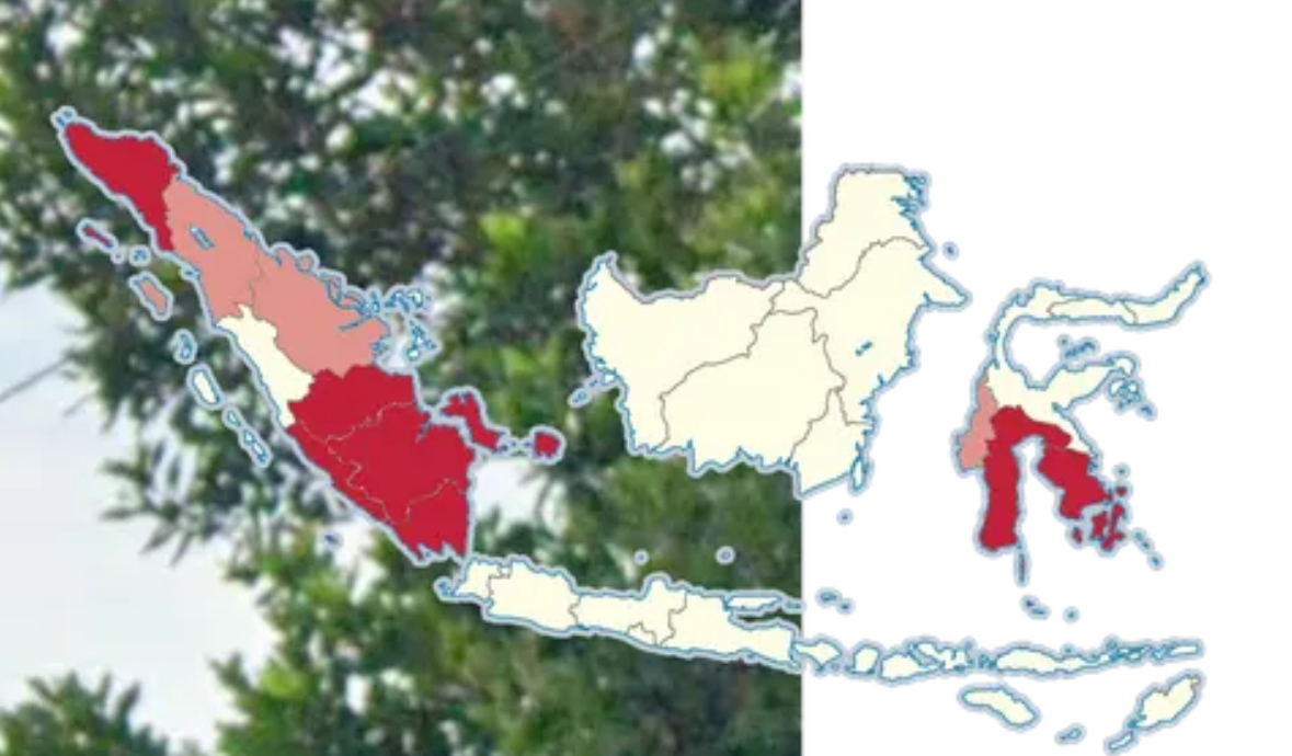 <p>Sumatra and south Sulawesi</p>