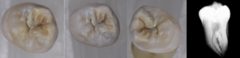 <p>What is the classification?</p>