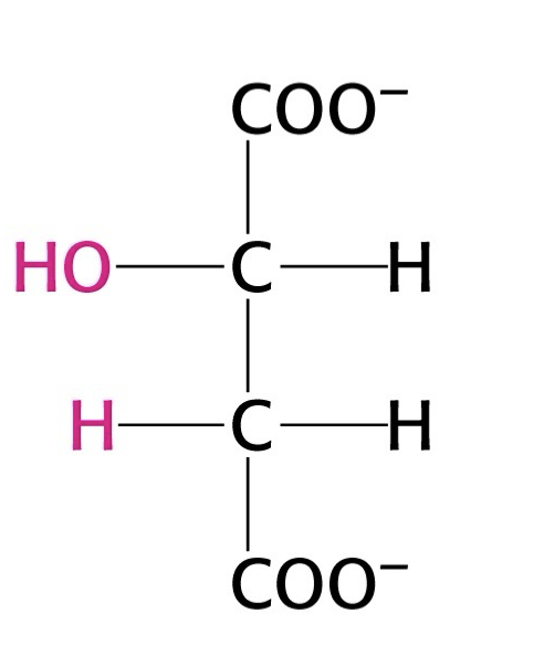 <p>what structure is this?</p>