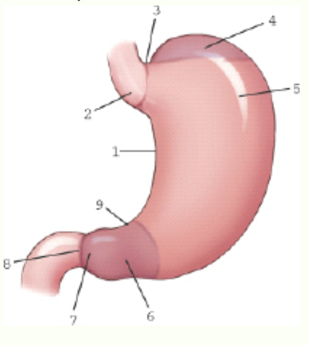 <p>Label this image.</p>