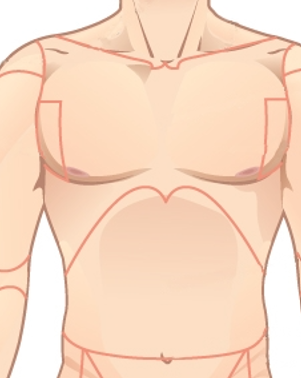 <p>Label this image</p>