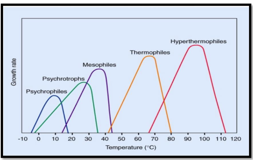<p><span style="font-size: medium;">This bacteria is most likely to spoil refrigerated foods</span></p><p>a. halophiles</p><p>b. thermophiles</p><p>c. psychrotrophs</p><p>d. mesophiles</p>