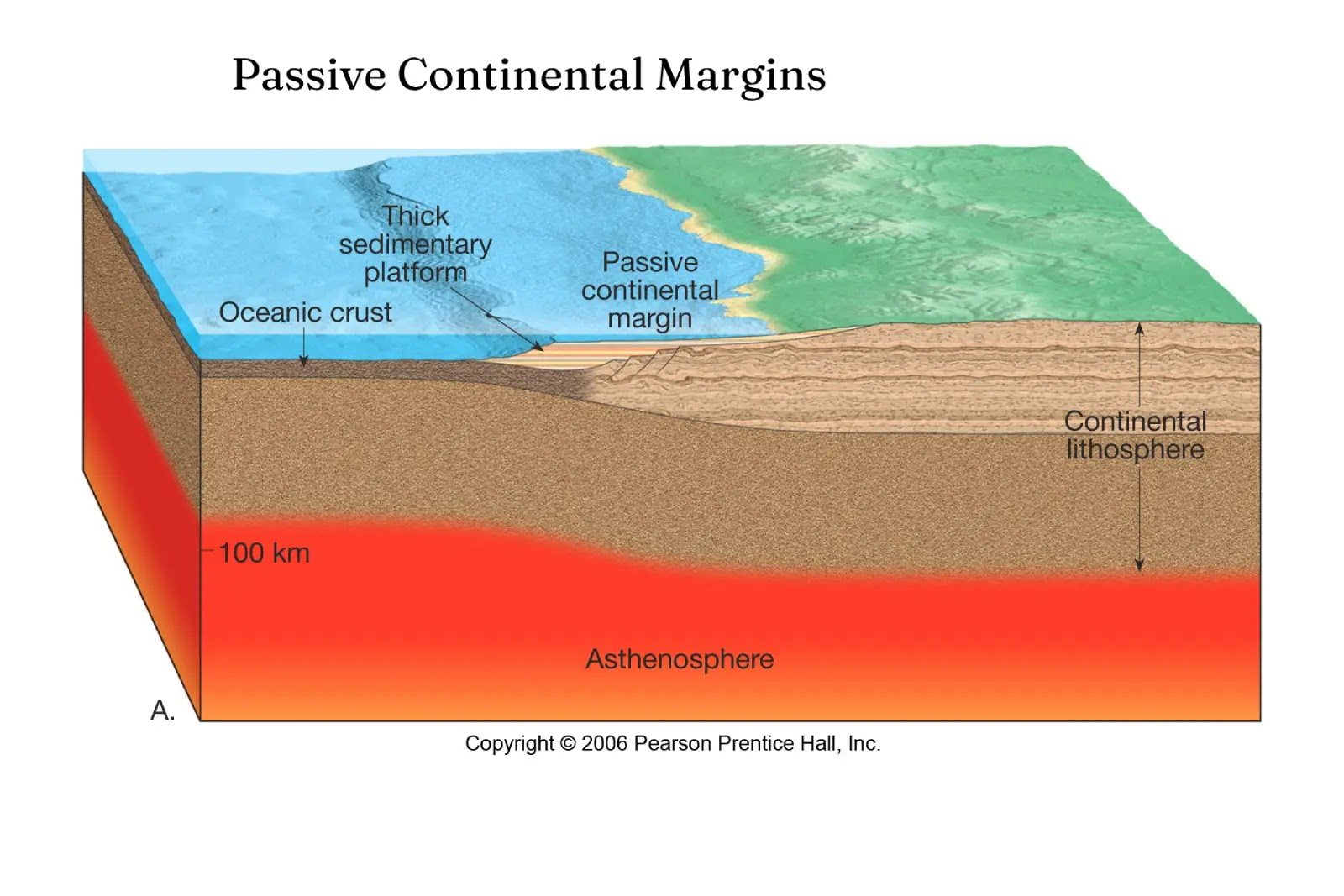 <p>What type of activity (or lack of activity) is referred to with the terms active margin and passive margin?</p>
