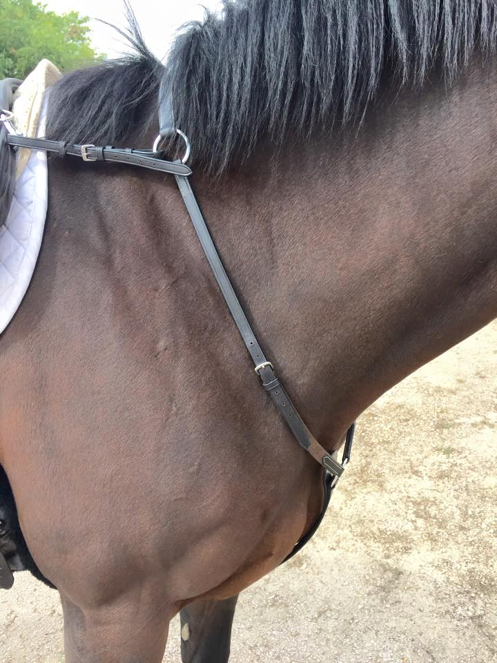 <p>hunting breast plate </p>