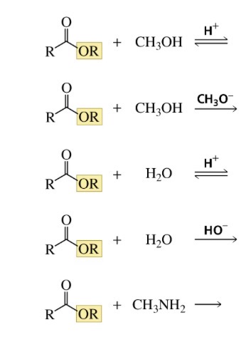 <p>Reactions of esters</p>