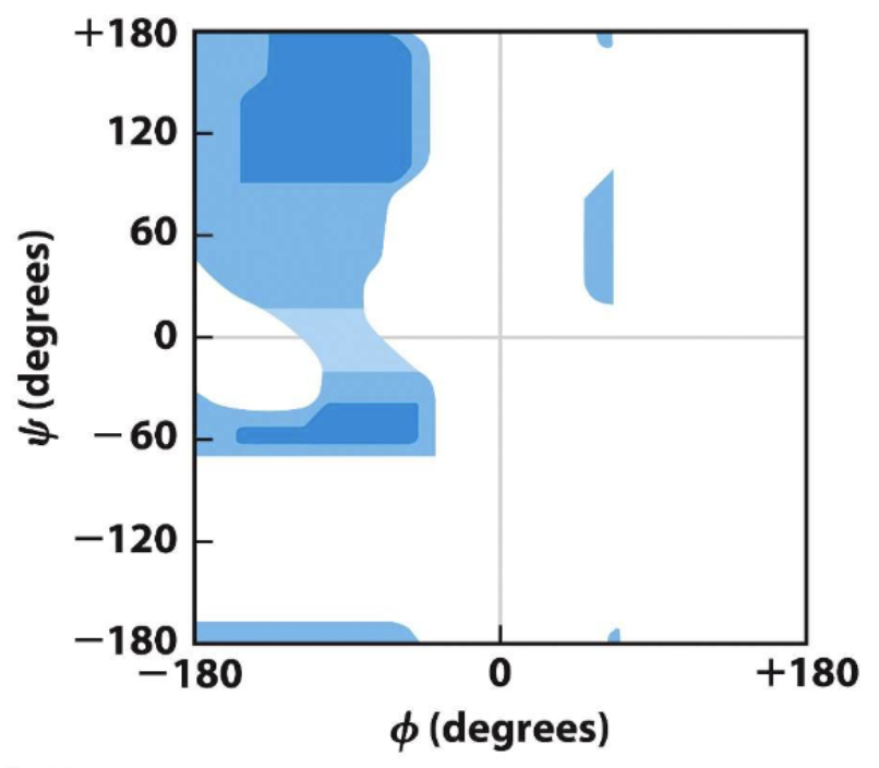 <p>phi psi angles plot</p>