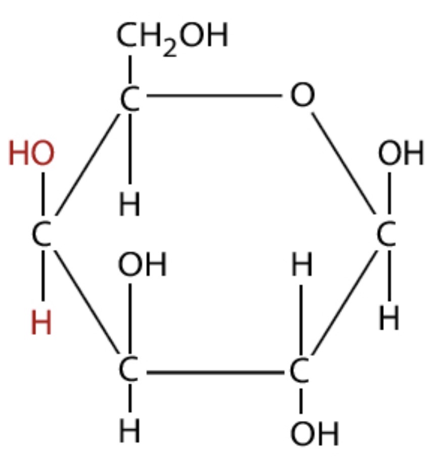 <p>Identify this.</p>