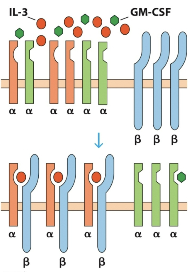 <p>Purpose of private vs public chain?</p>