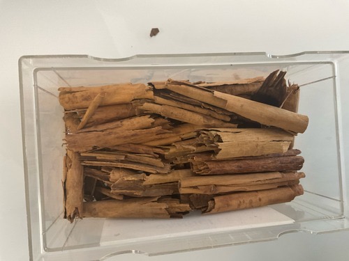 <p>tuyaux odeurs caractéristique </p>