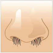<p>Identify the structure:</p>