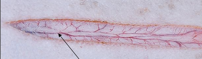 <p>what is the arrow pointing to?</p>