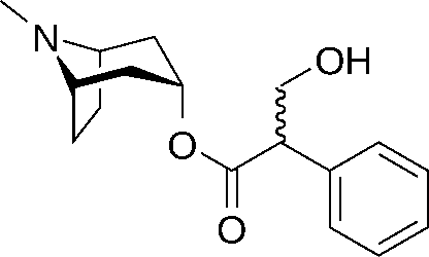 <p>Tropane alkaloids</p>