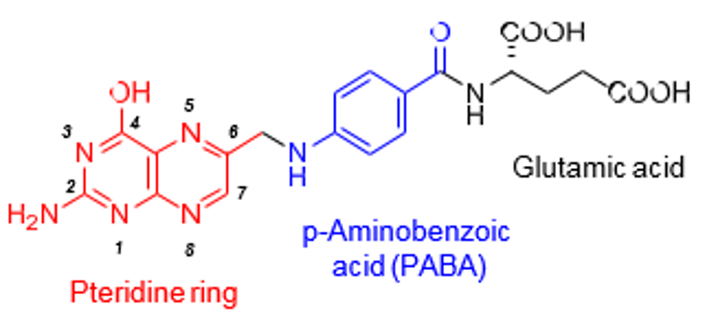 <p>Essential for DNA synthesis and cell division.</p>