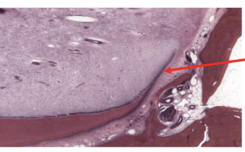 <p>ID the structure</p>