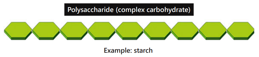 <p>Polysaccharide</p>