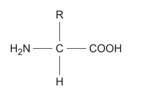 <p>A carbon atom bonded to a carboxylic acid, hydrogen, an amine group and a variable group.</p>