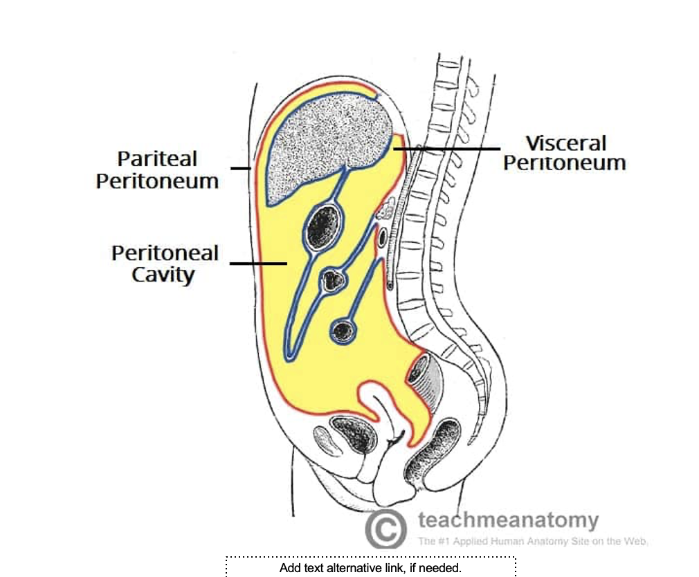 <p>what is this image </p>