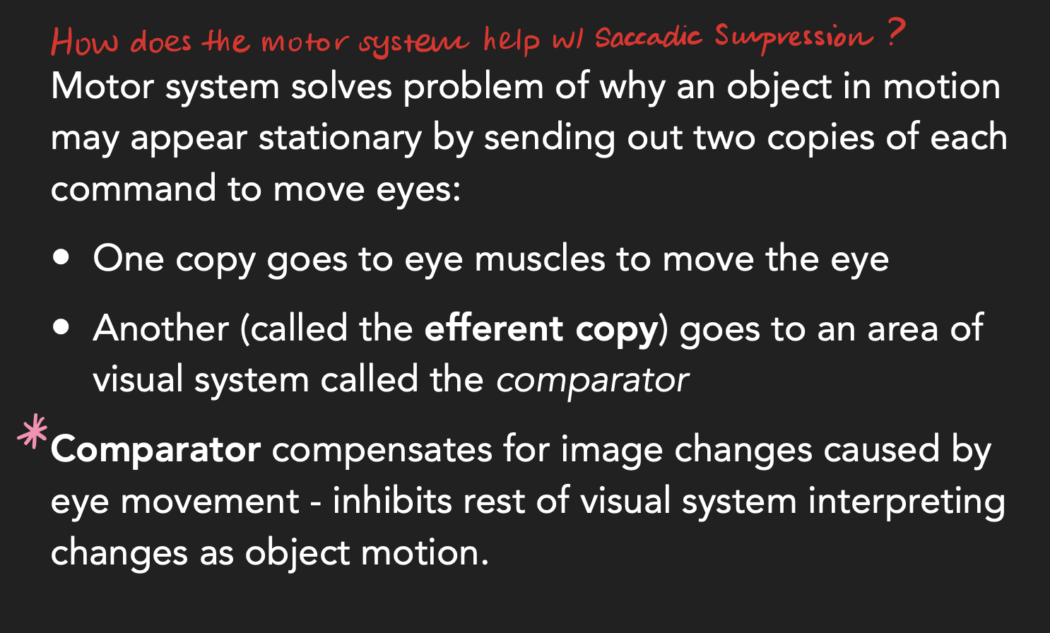 <p>*the efferent copy that hits the comparator inhibits processing in the visual system—preventing you from seeing a smear of your visual world.</p>