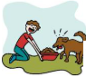 <p>Alimentar el perro / el gato</p>