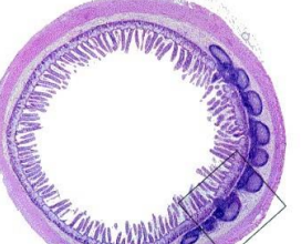 <p>What is this?</p>