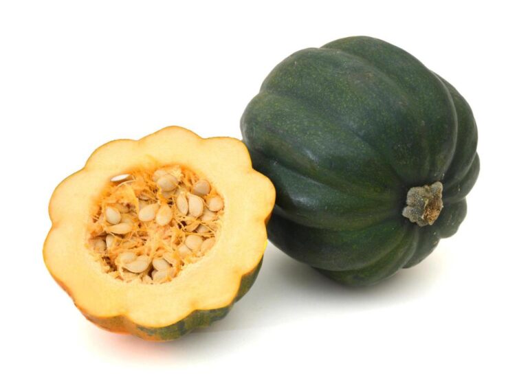 <p>Acorn Squash </p>