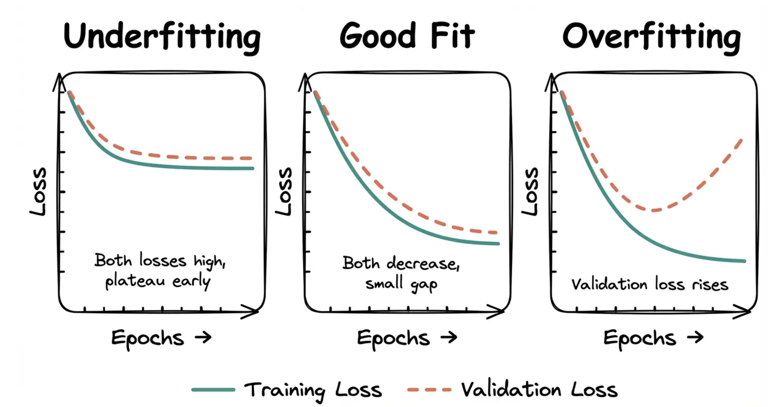 <p>The classic diagnostic for assessing overfitting and underfitting is to hold out a portion of the data we use to train our model for validation. We then train our model on the training data and evaluate its performance on the validation data. By doing so, the model never has a chance to "cheat" by memorizing the validation data.</p><p>After training, we plot training loss and validation loss over epochs during training. Overfitting is easier to spot than underfitting if you're just looking at a single plot.</p><p><strong>Underfitting</strong>: Both training and validation loss are high and decreasing slowly or plateauing early. The model isn't learning much.</p><p><strong>Good fit</strong>: Training loss decreases steadily. Validation loss decreases and stays close to training loss. The gap between them is small.</p><p><strong>Overfitting</strong>: Training loss keeps decreasing, but validation loss stops improving or starts increasing. The model is memorizing training data instead of generalizing.</p><p>Deciding which data to hold out for validation is an art. Holding out random data can work for some scenarios, but not others.</p><p>Consider an application where we're trying to predict stock returns. If we randomly hold out stock tickers, the model will still be able to "see" market-wide trends and crashes. Even if I didn't have Disney in my training set, if I knew the rest of the market dropped by 20% in April predicting the drop for Disney would be easy even if I didn't have April for Disney! But this gives me a false impression of my model's performance when I actually try to deploy it in the real world where I don't have access to the rest of the market.</p><p>In these instances, slicing by <em>time</em> is often a good approach. <span>Train on all tickers from January through March, then validate on all tickers from April. Now the model has never seen April at all. If there is a market crash in April, it cannot cheat by learning that crash from other stocks in training. It has to generalize from past patterns only, which matches real deployment much better. </span>But each problem may require slightly different treatment.</p><p>The other way to detect overfitting is your model does significantly worse in production than it did in your notebook or during training. In fact, a common question from interviewers is "let's assume you deploy this to production and it dramatically underperforms expectations, what do you do?"</p><p>Underfitting is usually a problem of picking the wrong model for the job. Interviewers are most often concerned with overfitting. But what can we do about it? Let's talk about some of the macro options before we get into the fine details of regularization.</p>