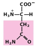 <p>What structure is this? And what group does it fall under?</p>