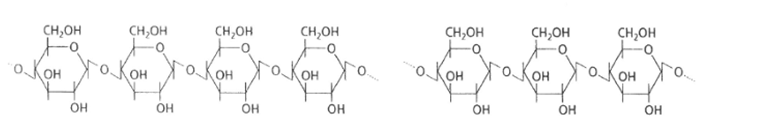 <p>nom de la molécules </p><p>caractéristiques, motifs, dans quelle structures est elle présente, son enzyme</p>