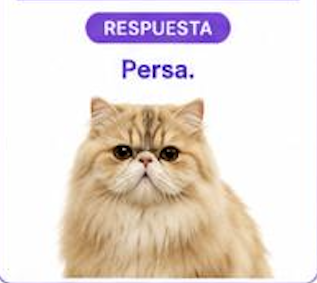 <ul><li><p>Aspecto corto, compacto y <strong>rechoncho</strong><span>. </span></p></li></ul><ul><li><p><span>Extremidades semicortas</span></p></li><li><p><span>Cabeza redonda y maciza</span></p></li><li><p><span>Cuello corto y grueso </span></p></li></ul><p></p>