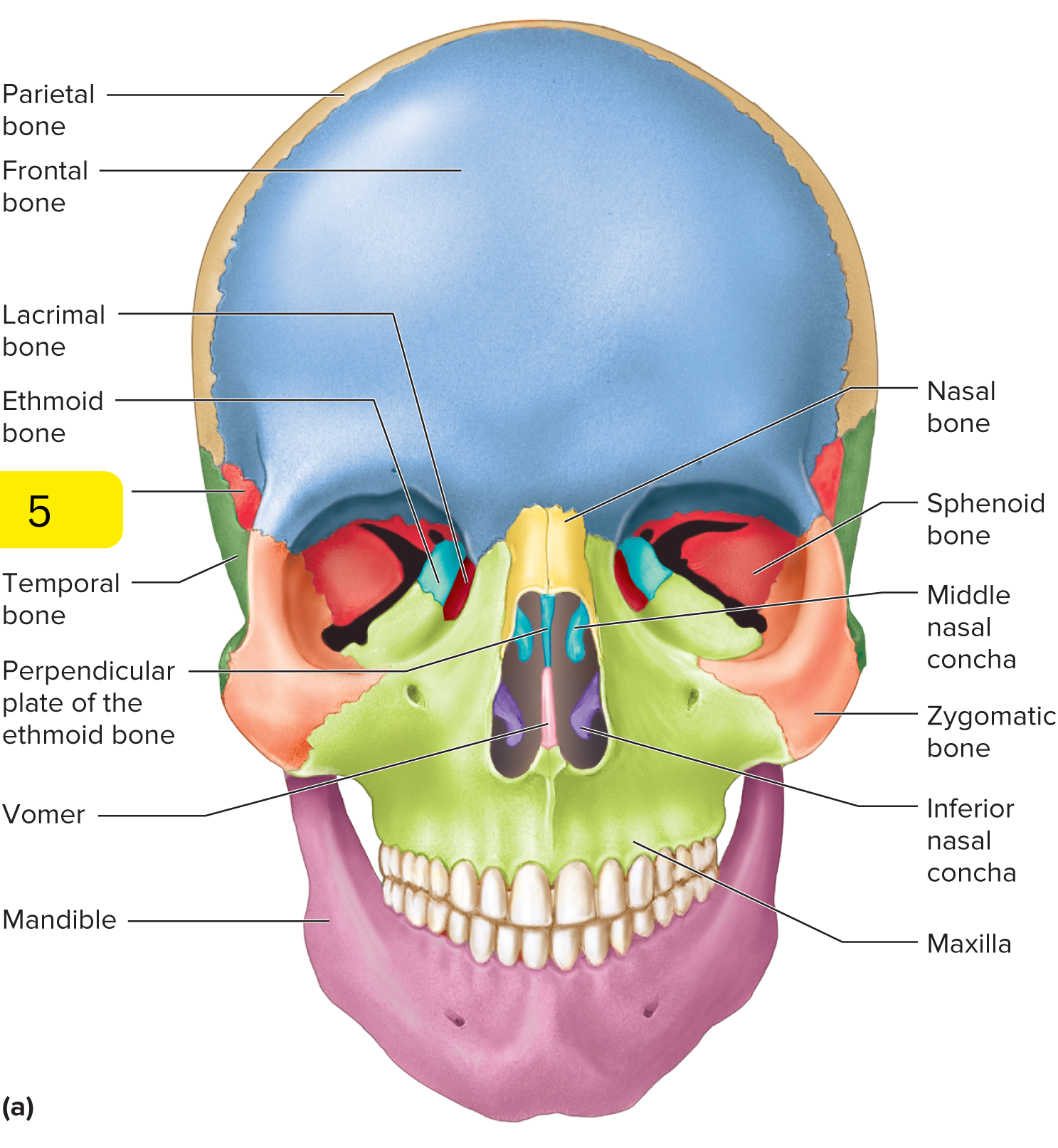<p>What’s #5?</p>