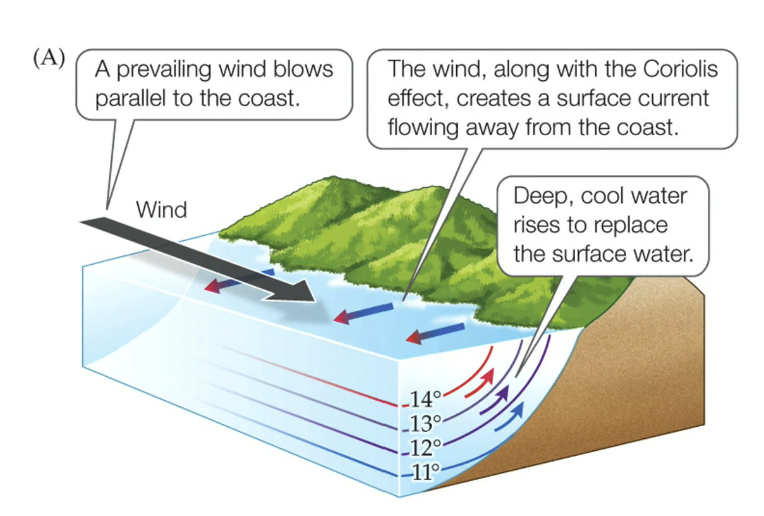 <p>Upwellings happens with wind. It also happens on …</p>