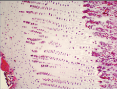 <p>What does this image show?</p>