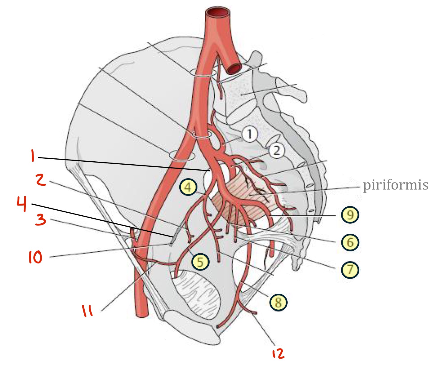 <p>Identify SWAP red numbers 2 and 4</p>