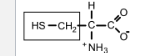 <p>Cys/C</p>
