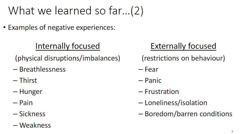 <p><strong>Externally Focused</strong> (restrictions on <strong>behaviour</strong>)<br> <strong>Fear</strong><br> <strong>Panic</strong><br> <strong>Frustration</strong><br> <strong>Loneliness / isolation</strong><br> <strong>Boredom / barren conditions</strong></p><p><strong>Internally Focused</strong> (physical <strong>disruptions / imbalances</strong>)<br> <strong>Breathlessness</strong><br> <strong>Thirst</strong><br> <strong>Hunger</strong><br> <strong>Pain</strong><br> <strong>Sickness</strong><br> <strong>Weakness</strong></p>