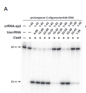 <p>explain fig 3A jinik</p>