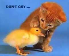 <p>(v.) to comfort; (n.) the keyboard of an organ; a control panel for an electrical or mechanical device</p>