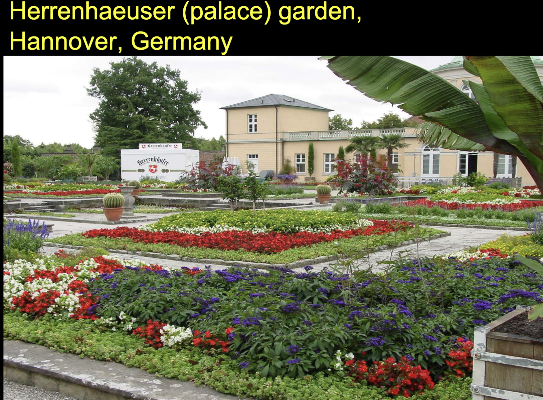 <ul><li><p> Flowers have always represented a way to add</p></li></ul><p>beauty and interest to our world</p><ul><li><p>Gardens represented a major form of entertainment</p></li></ul><p>for the wealthy</p><p></p>