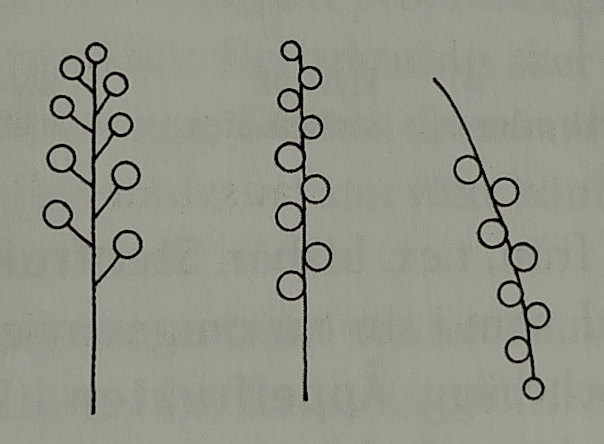 <p></p>