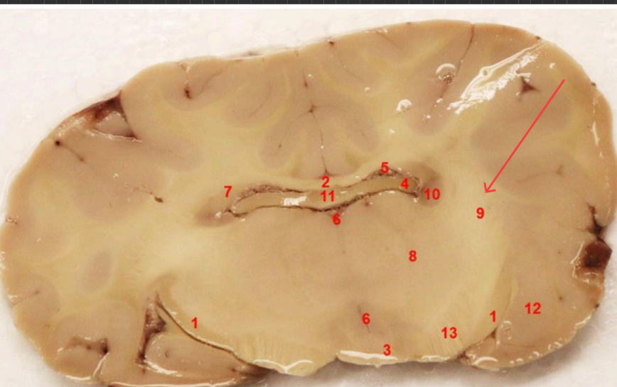 <p>what area is this</p>