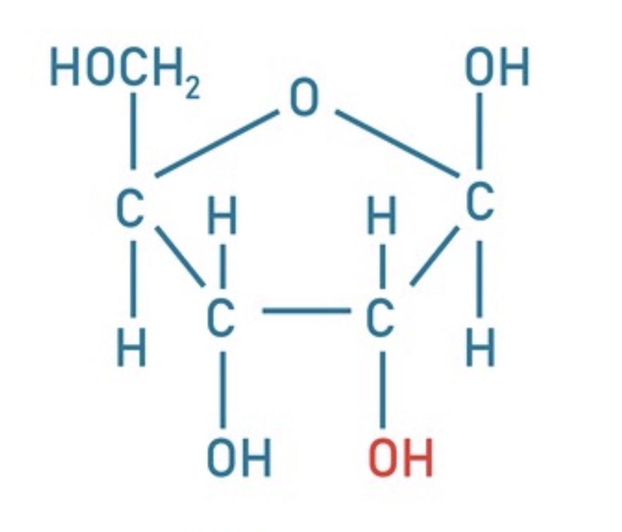 <p>Identify this</p>