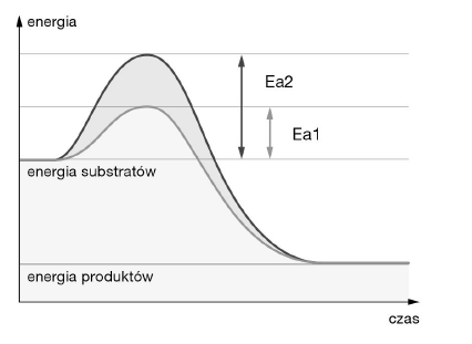 <p>GRUPA B</p><p>10. Wykres przedstawia przebieg dwóch reakcji z udziałem enzymu i bez niego.</p><p>a) W przemianach metabolicznych wyróżniamy: reakcje wymagające dostarczenia energii (endoergiczne) oraz reakcje przebiegające z uwolnieniem energii (egzoergiczne). </p><p>Określ, czy przedstawiona na schemacie przemiana to reakcja endoergiczna, czy egzoergiczna. Odpowiedź uzasadnij jednym argumentem.</p><p>b) Określ, którym symbolem oznaczono energię aktywacji reakcji przebiegającej z udziałem enzymu. Odpowiedź uzasadnij jednym argumentem.</p>